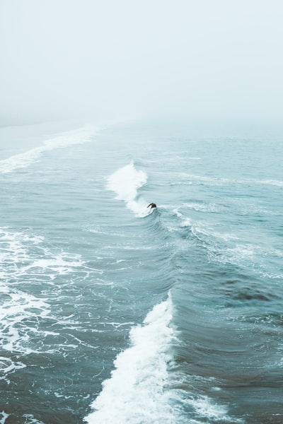 在波涛汹涌的海面上冲浪的人